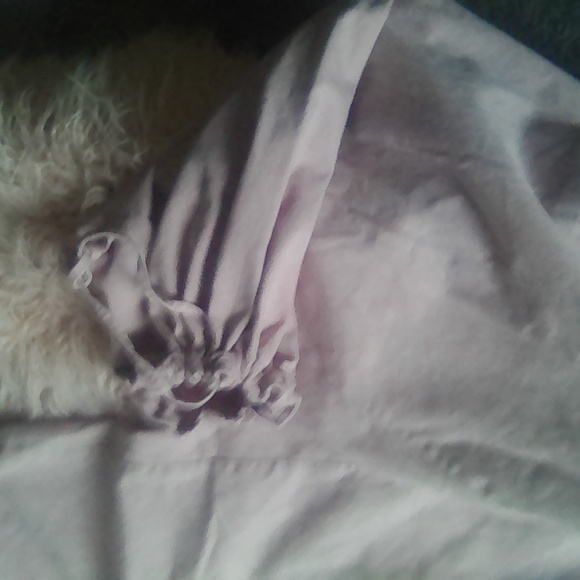 We the free wide leg pants high waist but have strings to make them tighter - Picture 3 of 4